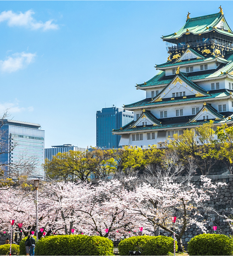 Japan Culture Academy Osaka